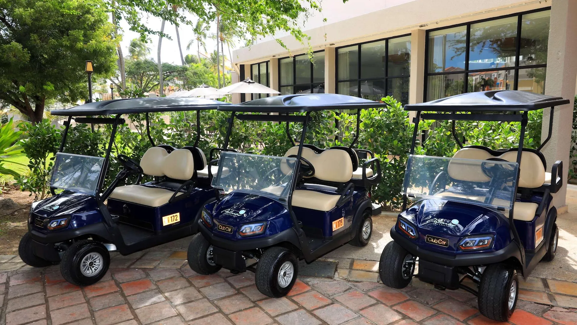 Wyndham Palmas Beach And Golf Boutique Resort Humacao 4*,  Puerto Rico